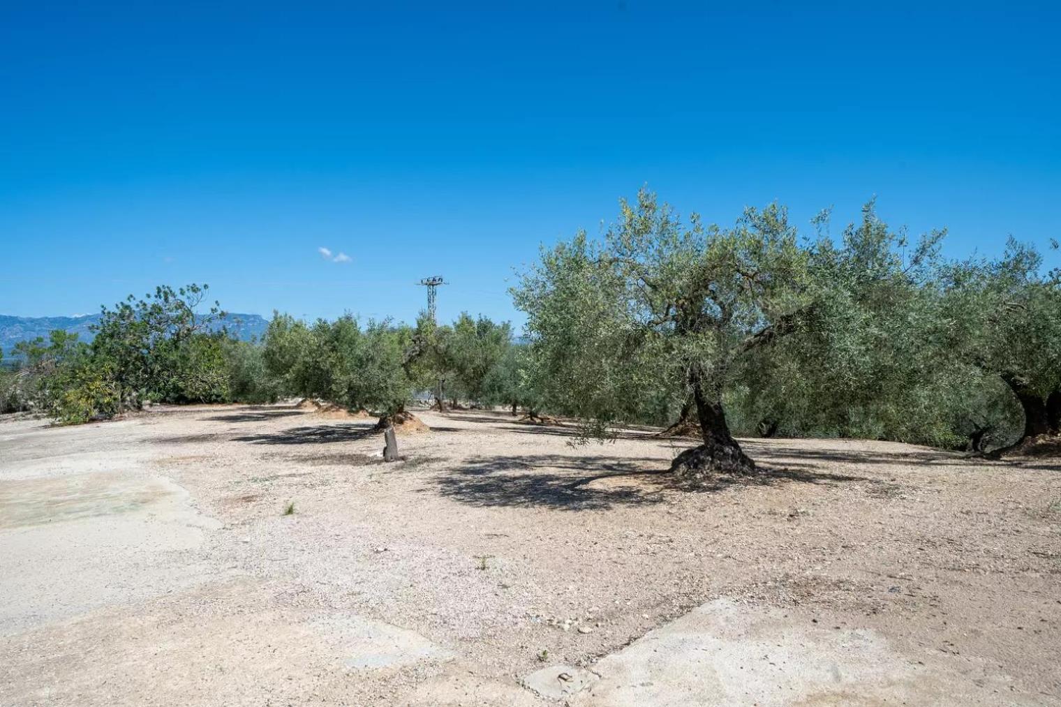 La Caseta Dels Iaios Masdenverge Dış mekan fotoğraf
